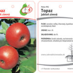 Ovocný strom | Zelený Dom | Jabloň | Jablone predaj | Ovocné stromy
