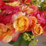 FIREBIRD® ruža mnohokvetá, KORDES, kont. 2l