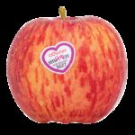 Jabloň ´SMITTEN®´, zimná, podp. M9, kont. 9l