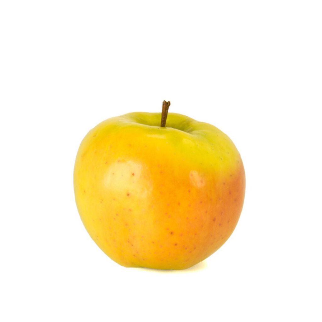 Jabloň ´LUNA´, zimná, podp. MM106, voľný koreň